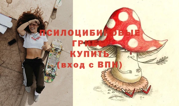 спиды Волоколамск